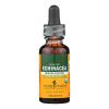 Herb Pharm - Echinacea Extract - 1 Each-1 Fz