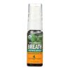 Herb Pharm - Breath Refrshr Sprmnt - 1 Each-.47 Fz